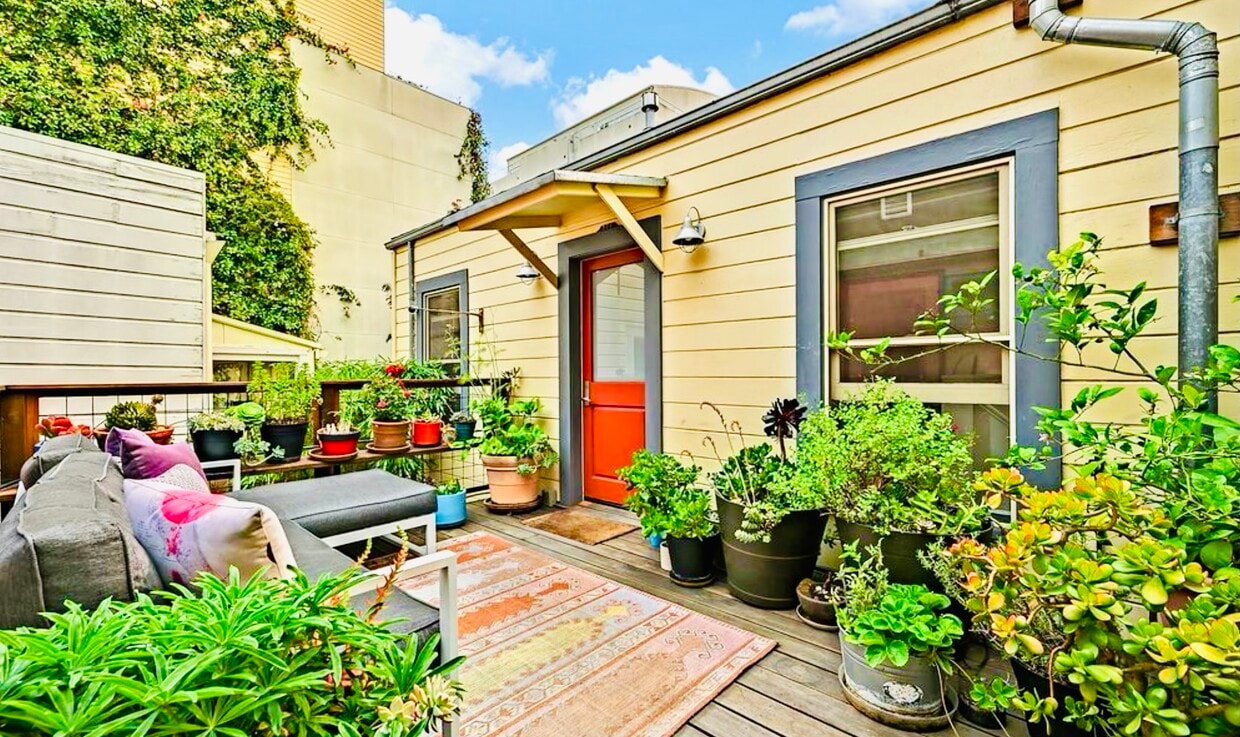Private sun deck with a lemon tree, jade plants, succulents, rosemary, sage, lavender, and flowers. - 328 Harriet St