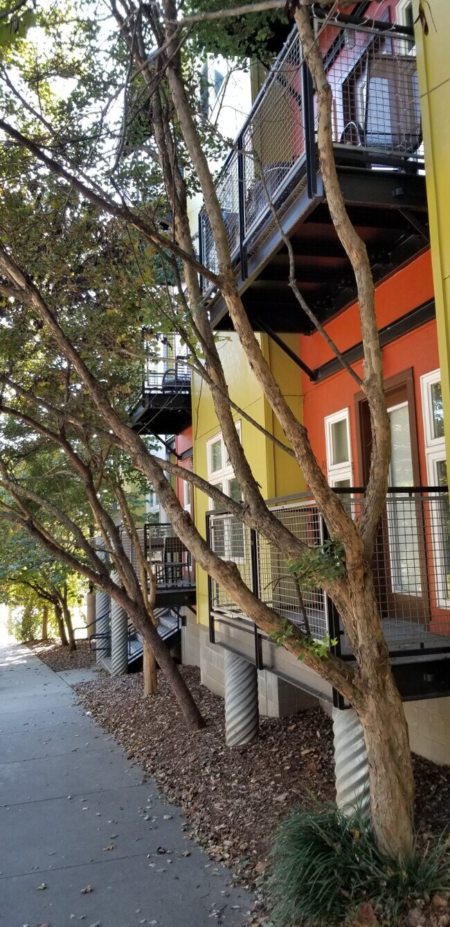 Foto del edificio - 125 Clingman Ave