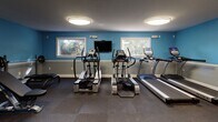 This fitness center is a fully equipped, single-floor facility designed to support a wide range of workout routines. The space is immediately distinguished by its vibrant blue accent walls, complemented by a light grey wainscoting detail and a textured ceiling, creating an energetic yet clean aesthetic throughout.

The cardio zone is well-stocked with True-brand treadmills, elliptical cross-trainers, and a stair climber, all arranged to allow comfortable use. A wall-mounted flat-screen television is positioned centrally between two windows, providing entertainment during workouts. The windows allow natural light to flow in, offering views of surrounding greenery and contributing to an open, airy atmosphere.

A large wall mirror expands the perceived depth of the space while allowing users to monitor their form. The strength training area includes a cable and multi-function weight machine, a free-standing punching bag, a weight bench with a barbell rack, dumbbells, and a stability ball, catering to a variety of training styles.

Durable rubber flooring covers the entire workout area, providing both safety and sound absorption. Flush-mount ceiling lights ensure consistent, even illumination throughout. The facility is rounded out with a clearly marked exit door, a fire alarm system, and a security camera, prioritizing the safety and comfort of all users.