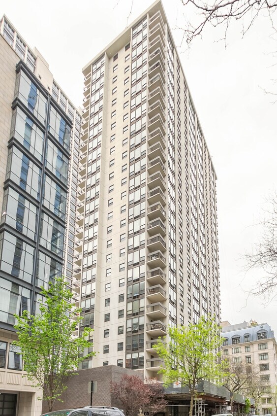 1313 N Ritchie Ct, Chicago, IL 60610 Condo for Rent in Chicago, IL