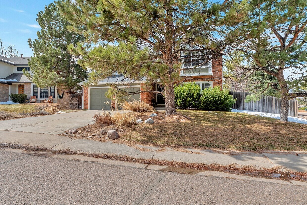Primary Photo - Fully Furnished - Lovely 4 Bedroom Home in...