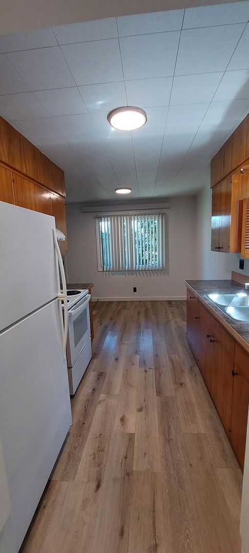 Building Photo - Lovely Apartment in Sehome