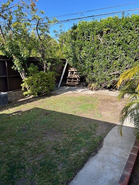 back yard - 1201 Chestnut Ave