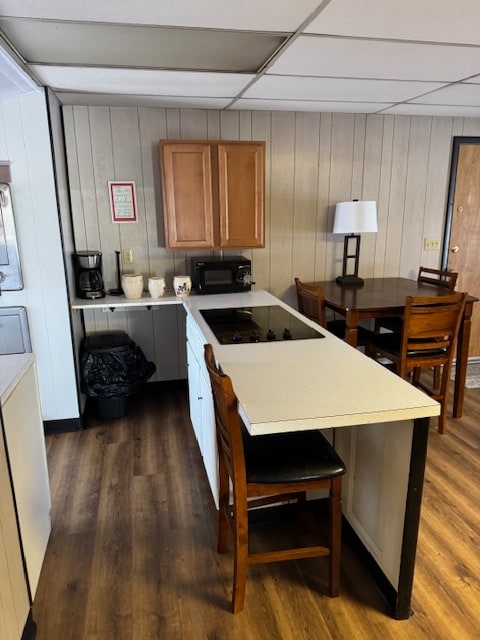 cooktop, kitchen - 203 Greene St
