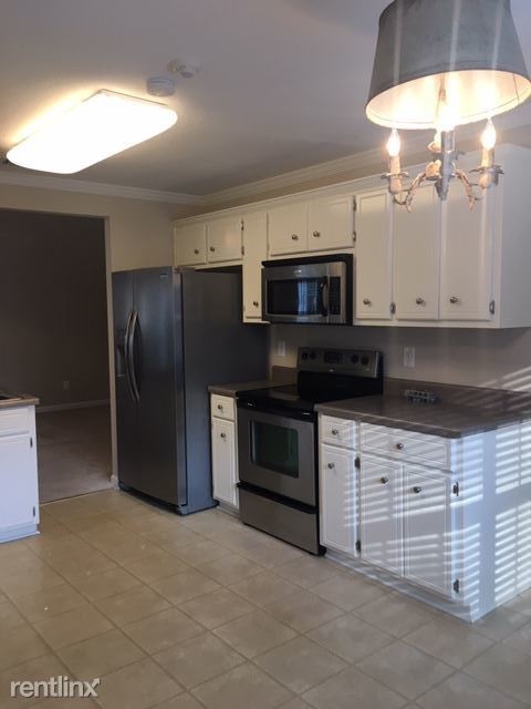 Building Photo - 2 br, 2 bath House - 527 Cedar Rock Dr
