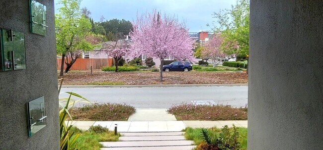 Foto del edificio - 50 Hayward Ave