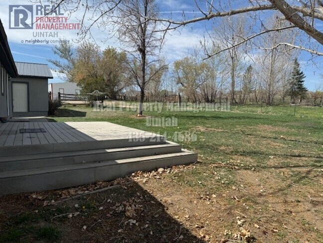 Foto del edificio - Cute 4 bedroom 2 bath room house