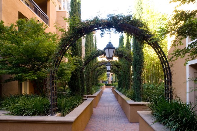 Building Photo - The Redwoods at North Park