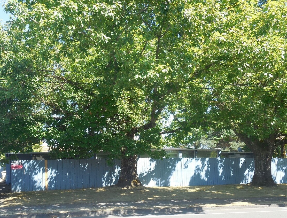 Primary Photo - 1 Bedroom Duplex ~ Close to 9th St ~ Small...