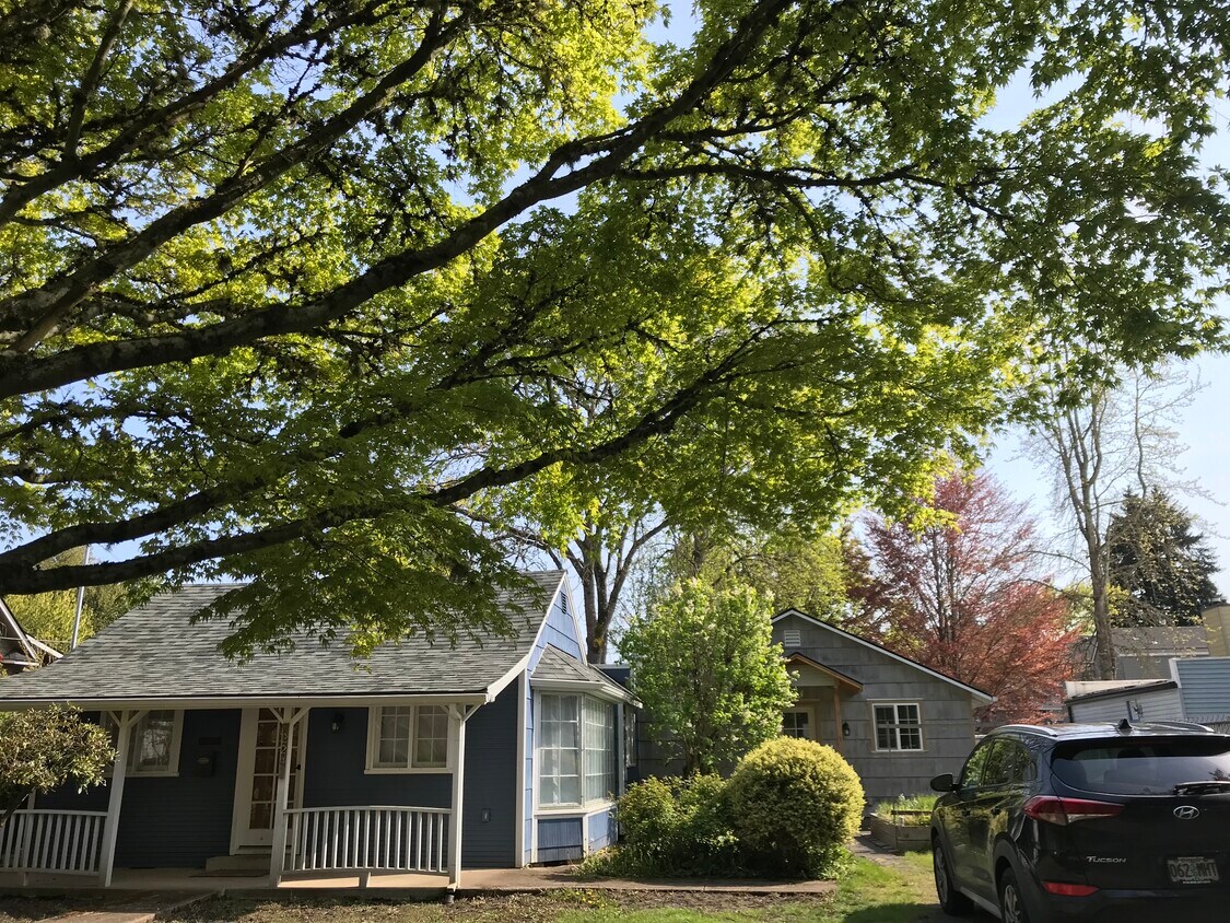 Foto principal - 224 NE Jefferson St