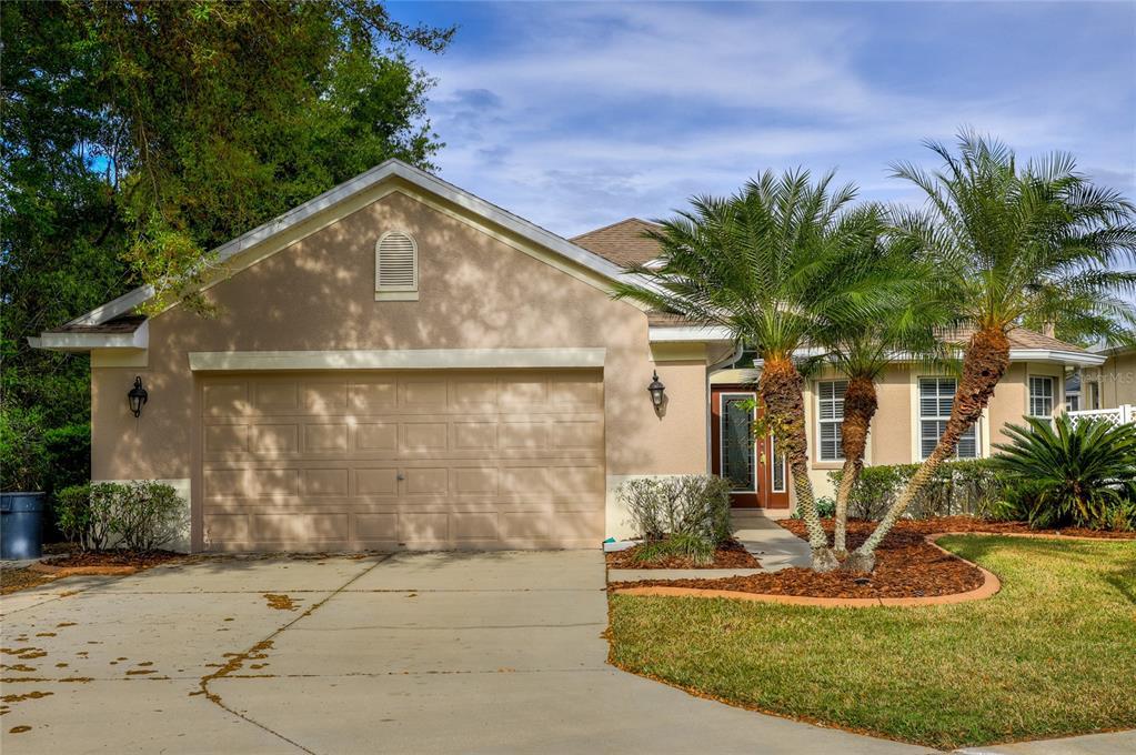 6002 Catlin Dr, Tampa, FL 33647 House Rental in Tampa, FL