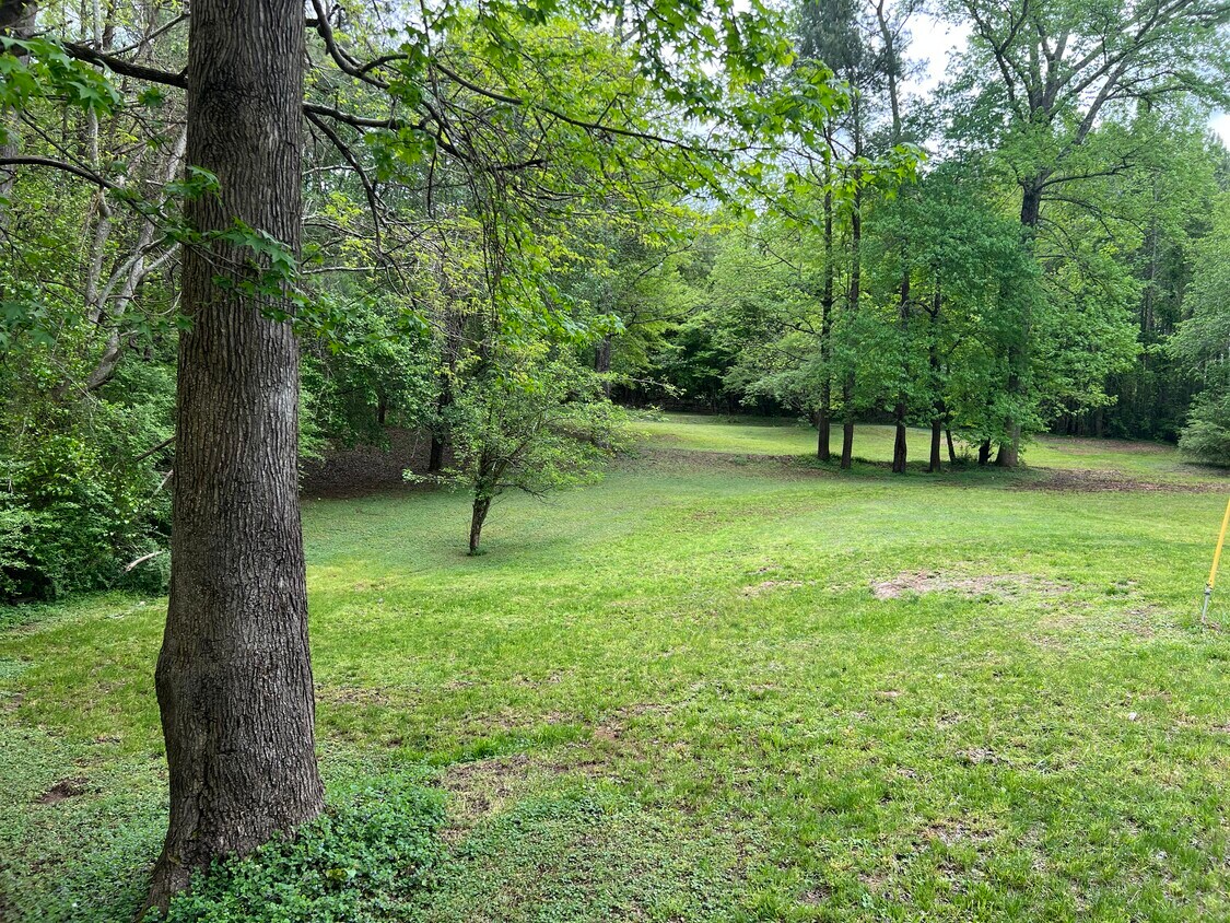 59 Stella Wynn Rd, Newnan, GA 30263 House Rental in Newnan, GA