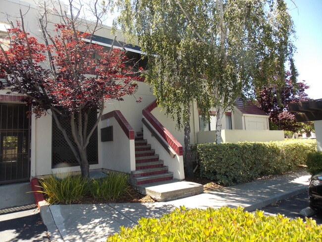 Building Photo - 524 Shorebird Cir