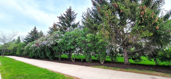 Foto del edificio - 10520 Wakefield Ln