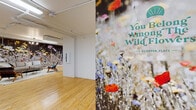 This single-floor common area is defined by a striking artistic identity, anchored by large-scale wildflower murals that span entire walls and immediately capture attention upon entry. The bold, photographic floral artwork — depicting colorful blooms against a dramatic dark background — creates an immersive, nature-inspired atmosphere throughout the space.

The floors are finished in warm-toned hardwood, lending a consistent visual flow across all areas. The entry zone features a bank of built-in metal mailboxes alongside a rounded wildflower mural accent, providing practical functionality within an artfully designed setting. Nearby, a stainless steel elevator and clearly marked exit doors ensure smooth circulation, with branded floor mats reinforcing the cohesive design theme.

The lounge area serves as the social heart of the space, furnished with a plush sofa, eclectic accent chairs, and a layered rug arrangement. Overhead, a chandelier and industrial-style fluorescent track lighting provide balanced illumination. Exposed piping along the ceiling adds an urban, loft-like character that complements the creative aesthetic.

A wildflower-branded entry wall panel — reading "You Belong Among Wild Flowers" — greets visitors and sets a welcoming, community-forward tone. Overall, the space successfully blends artistic expression with practical amenities to create an engaging and memorable communal environment.