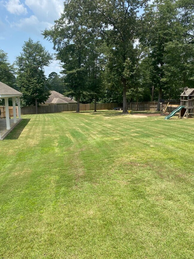 Foto del edificio - Beautiful 4 BR 2 bath in Prospect Ridge area