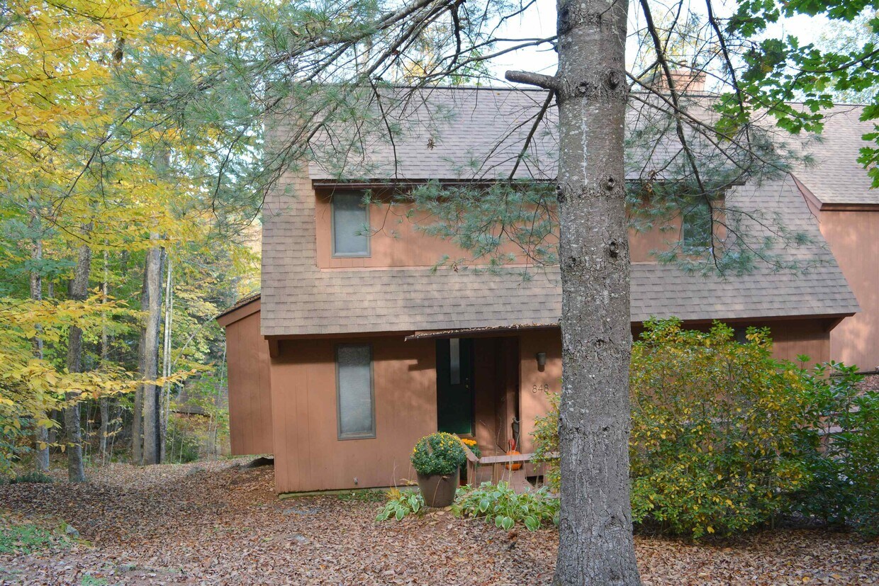848 Cove Dr Unit 48, Grantham, NH 03753 Condo for Rent in Grantham, NH