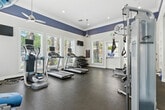 Located at 39415 Ardenwood Way in Lake Elsinore, California, this fitness center offers a well-appointed single-room exercise space designed to support a full range of workout routines. The room features a crisp, clean aesthetic defined by white crown molding, bold blue accent walls near the ceiling, and durable rubber flooring suited for high-traffic use. Multiple ceiling fans keep the space comfortable during workouts, while recessed lighting provides consistent illumination throughout.

Natural light flows generously through multiple large windows fitted with white blinds, offering views of lush outdoor greenery and palm trees. The cardio zone is equipped with multiple treadmills and an elliptical machine, each featuring individual monitors for entertainment. A cable strength machine and weight bench serve the strength training area, while a tiered dumbbell rack provides a full range of free weights. Stability and flexibility training is supported by an assortment of exercise balls in various sizes, resistance bands, medicine balls, and yoga mats conveniently stored on a dedicated rack.

Wall-mounted televisions add to the functionality of the space, and the charming Dutch-style door provides direct access to the outdoors. The overall atmosphere is bright, open, and inviting, making this fitness center a practical and motivating environment for residents seeking convenient on-site exercise amenities.