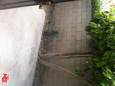 Foto del edificio - 8002 8th St