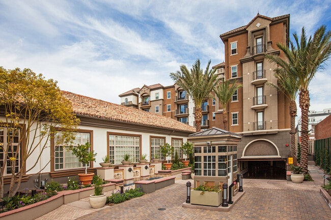 Building Photo - Tribeca Urban Apartments