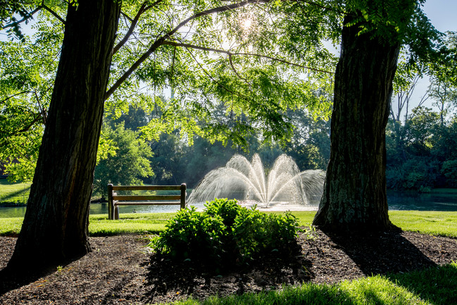 Pond at Olde Montgomery Apartments - Olde Montgomery