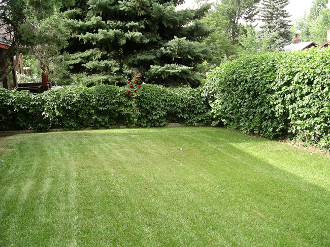 Front Yard - 953 9th St