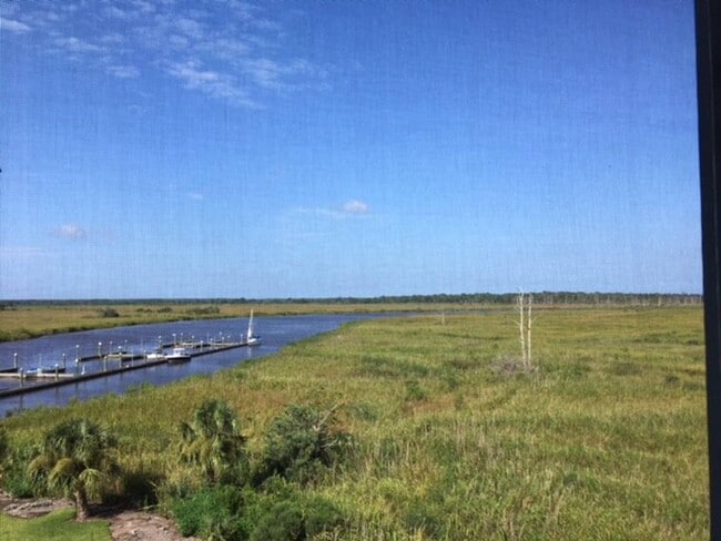 South-West View Mid-Day - 91 Screven St