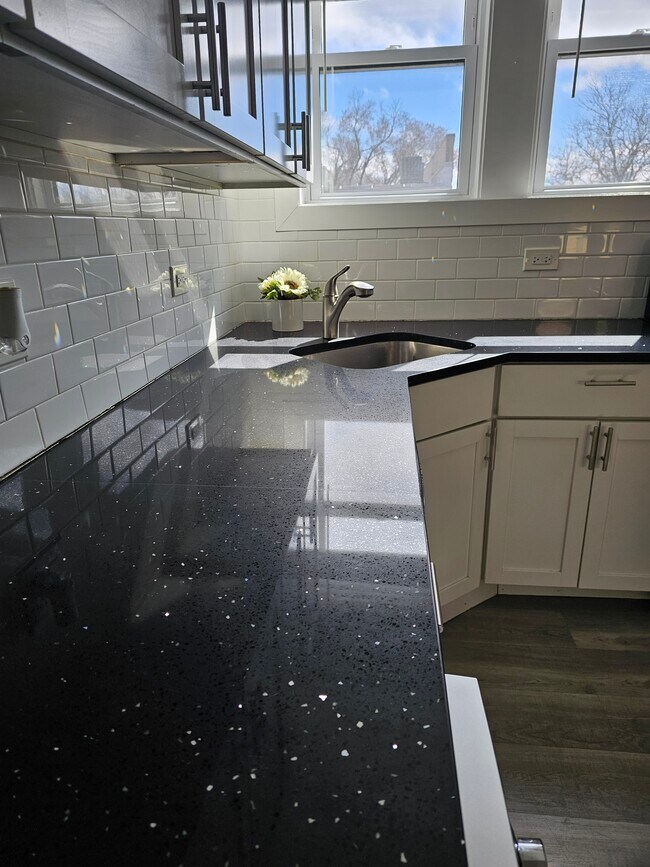 Foto del edificio - 3838 N Greenview Ave