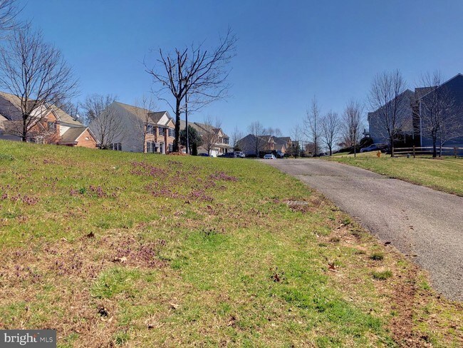 Building Photo - 9598 Mountwood Dr