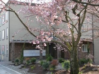 Foto principal - Greenlake Terrace - 2 bedrooms