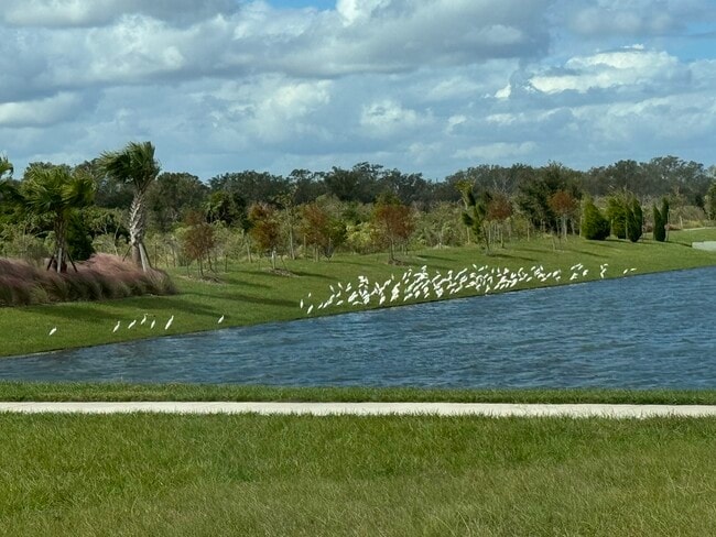 Building Photo - 1341 Daisy Field Dr