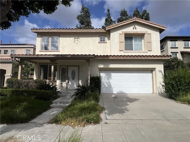 Primary Photo - 43 Straw Flower