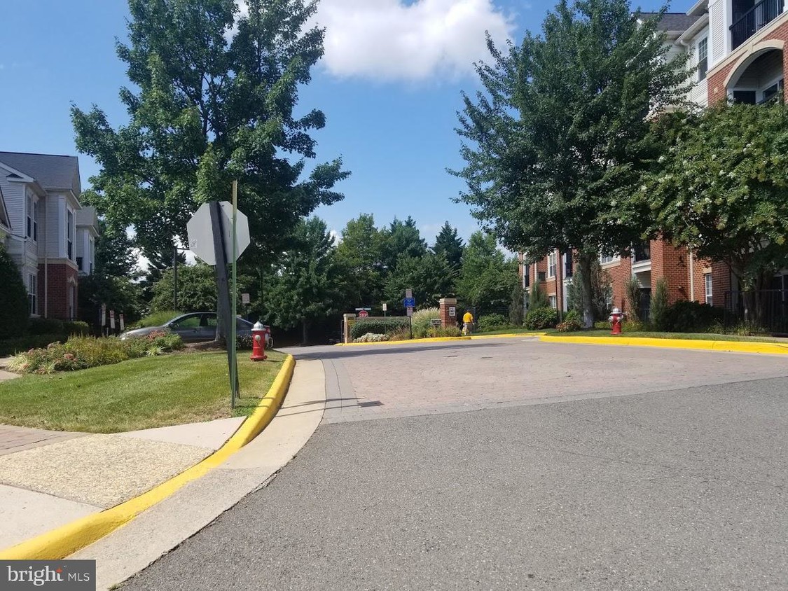 Foto principal - 2505 2nd Ave