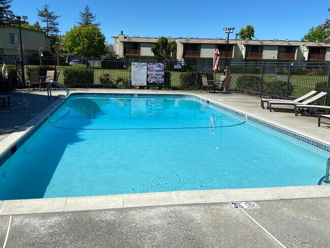 Shared Pool - 1032 Eleanor Ave
