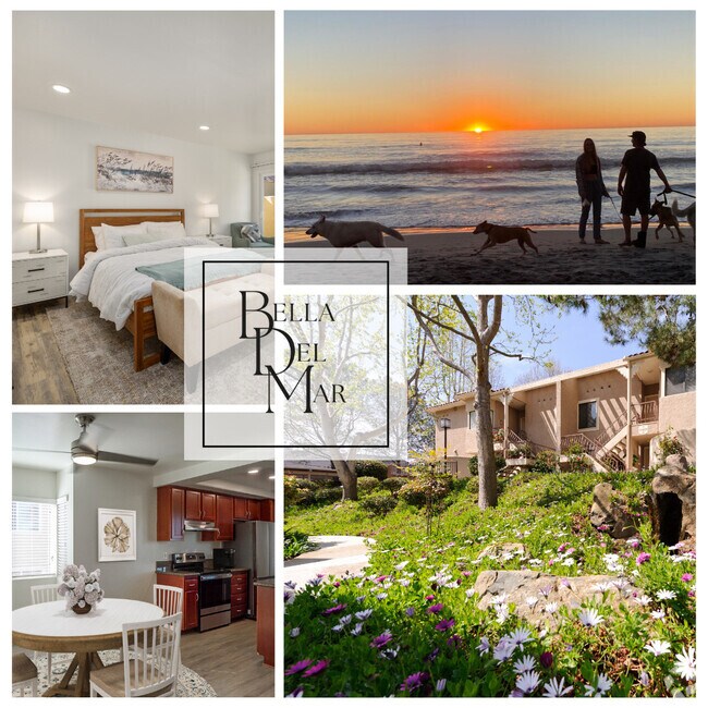 Torrey Hills Apartments for Rent with a Dog Park San Diego, CA 16