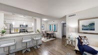 This single-floor residence offers a thoughtfully designed layout that balances functionality and style throughout its living spaces. The open-concept living and dining area is anchored by warm hardwood-style flooring, neutral gray walls, and large windows fitted with horizontal blinds that invite natural light. The living room provides generous space for seating arrangements, with wall space well-suited for artwork and media storage.

The kitchen is designed in a galley configuration, featuring granite-look countertops, white upper cabinetry, gray lower cabinetry with brushed hardware, a subway tile backsplash, and a full suite of black and stainless steel appliances including a refrigerator, electric range, microwave, and dishwasher. A peninsula with bar seating connects the kitchen to the dining area, creating a seamless flow for entertaining.

The bedroom is carpeted for comfort and offers a walk-in closet with built-in shelving. A pendant light fixture and ample wall space contribute to a calm, restful atmosphere. The bathroom features a granite-topped vanity with gray cabinetry, a framed mirror, and a tiled tub-shower combination, completing the space with clean, contemporary finishes throughout.