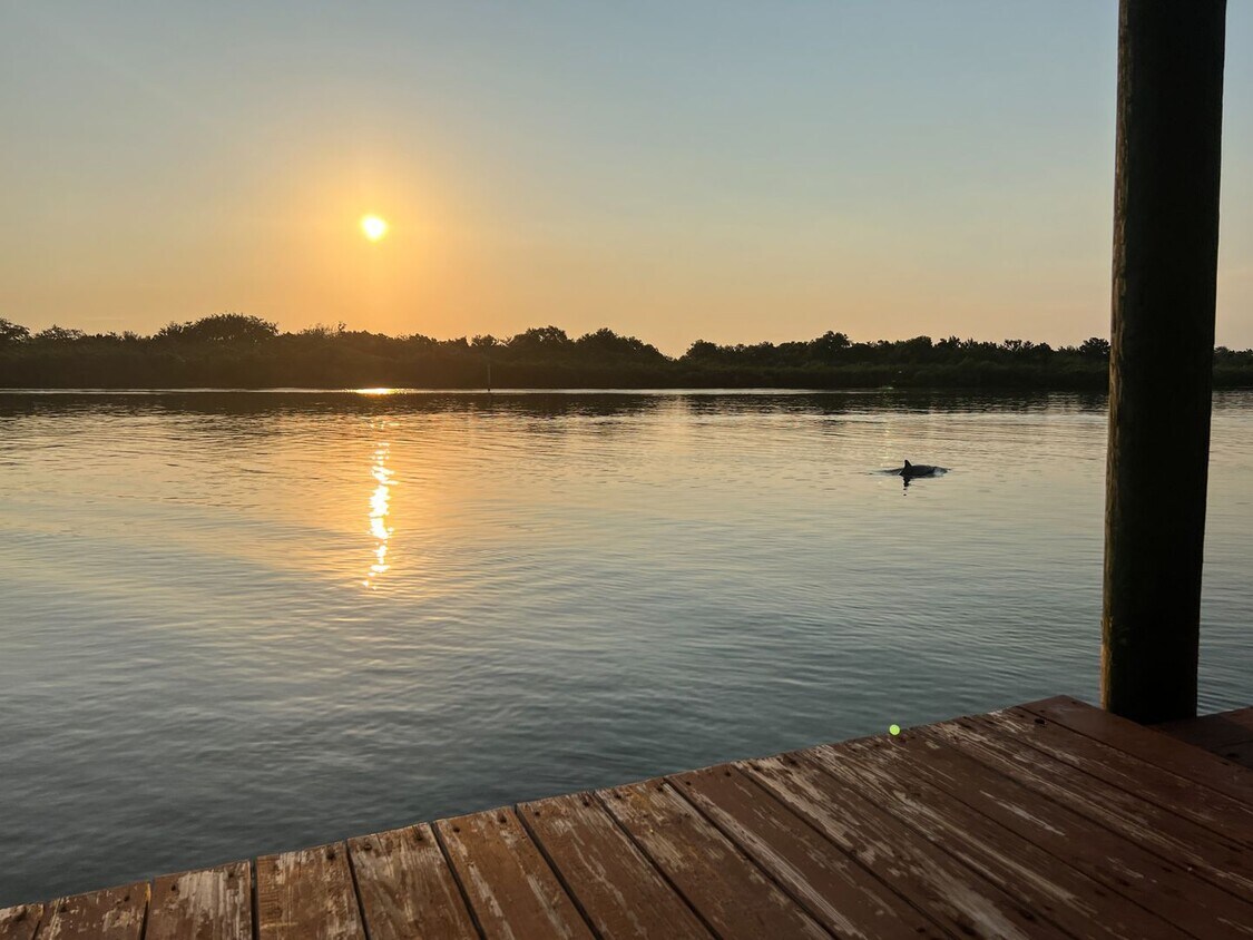 Foto principal - Sunrises with the Dolphins! Large Spacious...