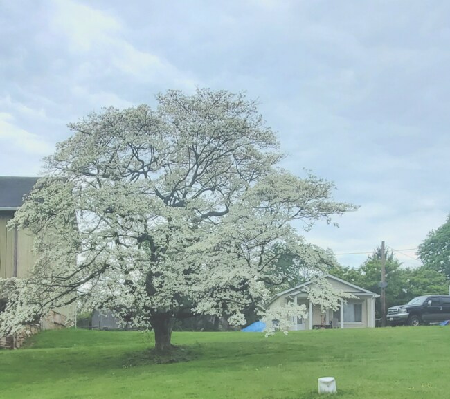 Photo - 4020 Bay Rd House