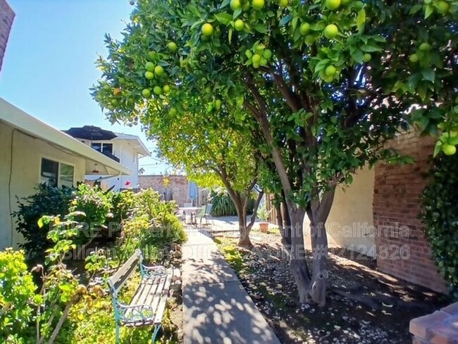 Building Photo - 870 Castlewood Dr