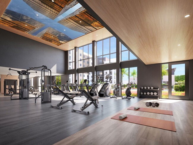 Gimnasio - Lakeview at NoMi