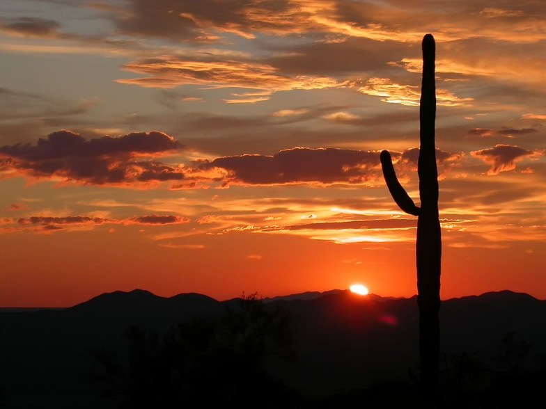 3 bedroom apartments for rent in phoenix az | apartments 3 bedroom apartments for rent in phoenix az | apartments