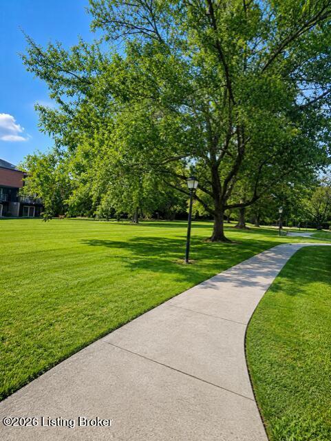 Building Photo - 3503 Lodge Ln
