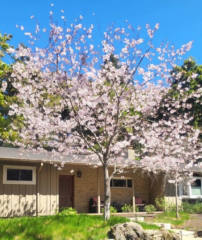 Photo - Shared Houseing Portola Valley