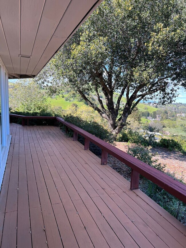 Foto del edificio - 1542 Rancho View Dr