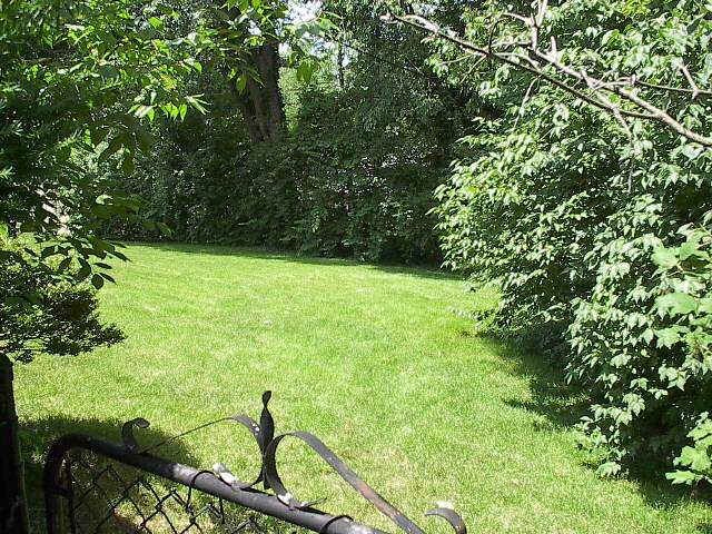 fenced back yard - 6176 Wasigo Dr