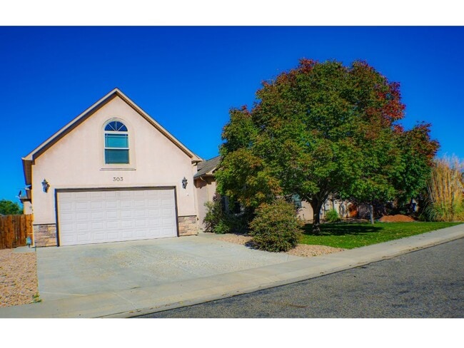 Photo - 303 Belden Ct House