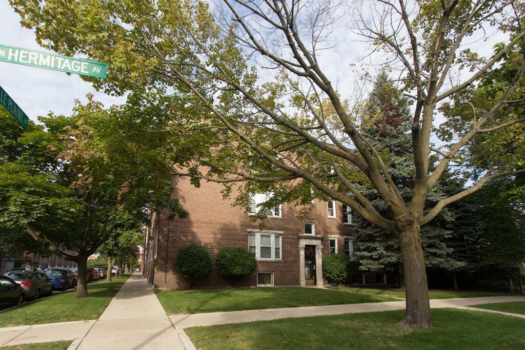 Beautiful 1 Bed Apartment in North Center/ Ravenswood Area Available September 1st - Beautiful 1 Bed Apartment in North Center/ Ravenswood Area Available September 1st
