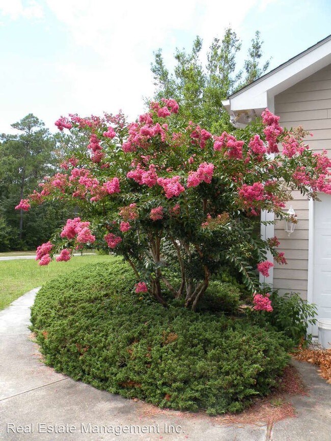 Foto del edificio - 3 br, 2 bath House - 105 Bluewater Cir