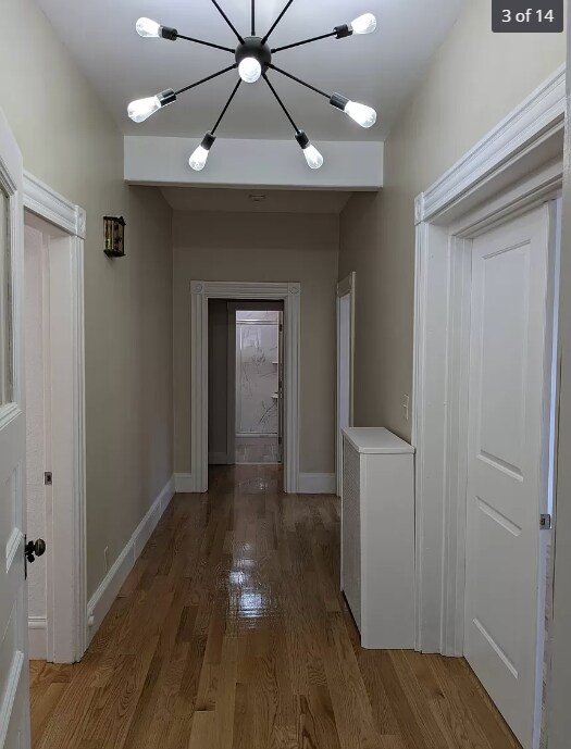 11 Jenison St Unit 1, Newton, MA 02460 Condo for Rent in Newton, MA