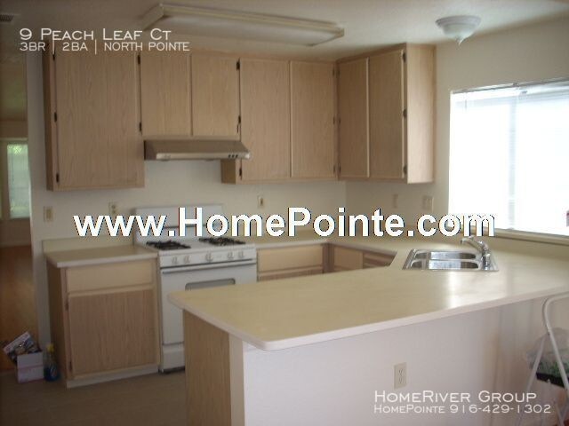 Building Photo - 9 Peach Leaf Ct